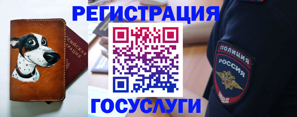 временная регистрация в квартире в Сольцах
